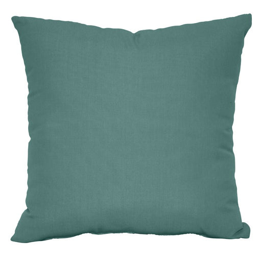 20" x 20" Throw Pillow