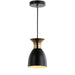 JYL6136A Lighting/Ceiling Lights/Pendants
