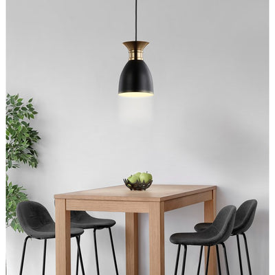Edison Single-Light LED Pendant - Black and Brass Gold