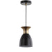 JYL6136A Lighting/Ceiling Lights/Pendants
