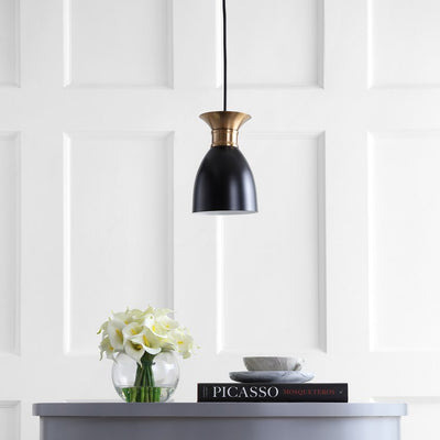 Edison Single-Light LED Pendant - Black and Brass Gold
