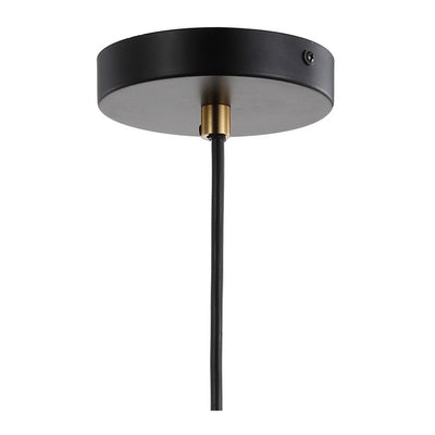 Edison Single-Light LED Pendant - Black and Brass Gold