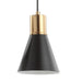 JYL6133A Lighting/Ceiling Lights/Pendants