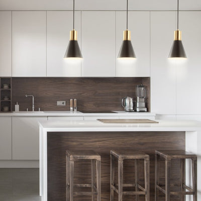 Apollo Single-Light Pendant - Black and Brass Gold