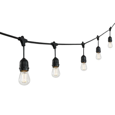 Auro 48 ft. Fifteen-Light Indoor/Outdoor String Light - Black
