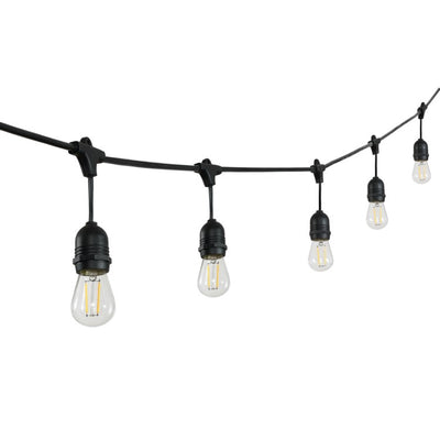 Auro 48 ft. Fifteen-Light Indoor/Outdoor String Light - Black