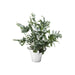 10019514 Outdoor/Lawn & Garden/Planters