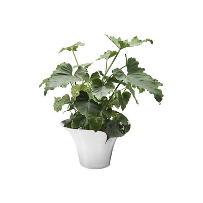 Bloom Botanica 222mm Large Mirror-Polished Stainless Steel Flower Pot
