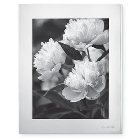 Darling Point 8" x 10" Picture Frame