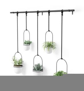 Product Image: 1018086-660 Outdoor/Lawn & Garden/Planters