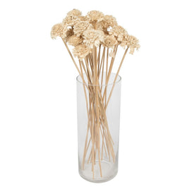 1.3"-1.75" Preserved Bleached Cedar Rose on Stems 50-Pack