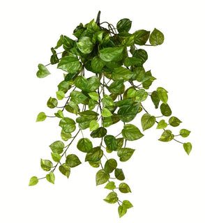 Product Image: FZ190728 Decor/Faux Florals/Plants & Trees