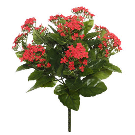 15" Red Kalanchoe Bush