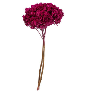 Product Image: H1HYD450 Decor/Faux Florals/Floral Arrangements