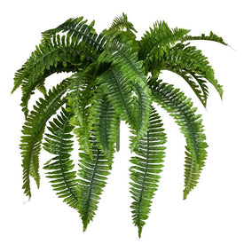 19" Green Boston Fern Bush with 42 Leaves