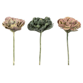 7.5" Artificial Rust Green Eichhornia Succulents 6-Pack