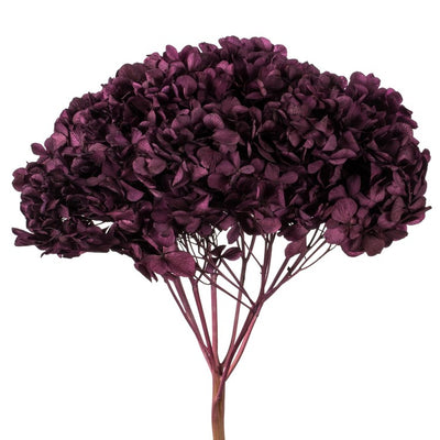 15" Natural Preserved True Violet Hydrangea Stem