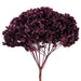 H1HYD575 Decor/Faux Florals/Floral Arrangements