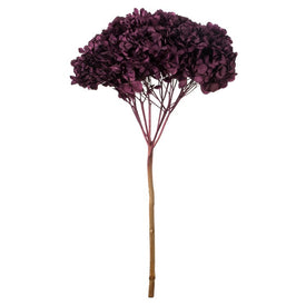 15" Natural Preserved True Violet Hydrangea Stem