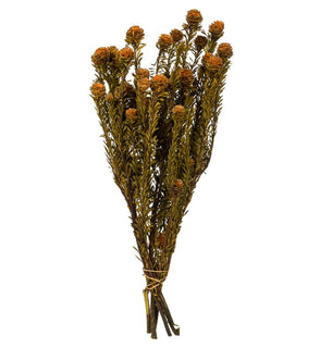 Product Image: H1TOF750 Decor/Faux Florals/Floral Arrangements