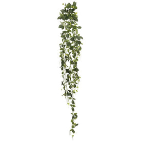 65" Green Fittonia Hanging Bush with 374 Leaves