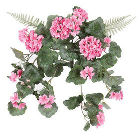 22" Coral Geranium Hanging Bush