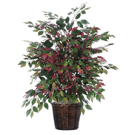 4' Artificial Extra-Full Capensia Bush in Rattan Basket