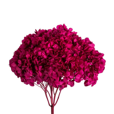 15" Natural Preserved Raspberry Hydrangea Stem