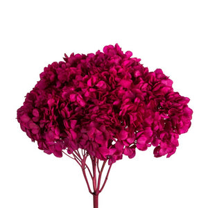 H1HYD425 Decor/Faux Florals/Floral Arrangements