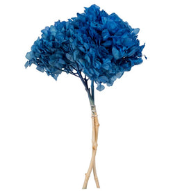 15" Natural Preserved Pastel Blue Hydrangea Stem