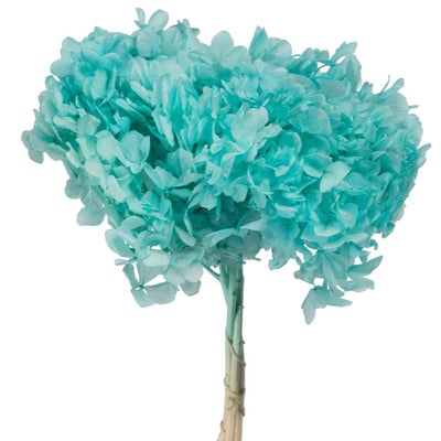 15" Natural Preserved Turquoise Hydrangea Stem