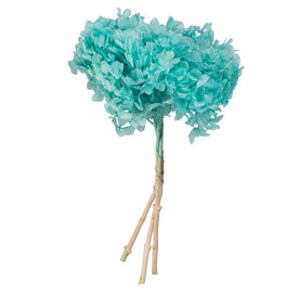 15" Natural Preserved Turquoise Hydrangea Stem