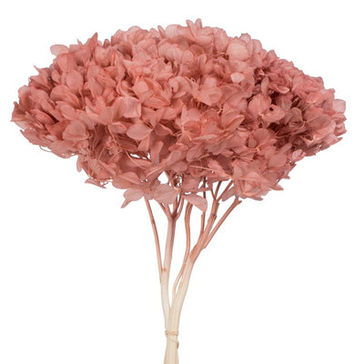 15" Natural Preserved Erika Pink Hydrangea Stem