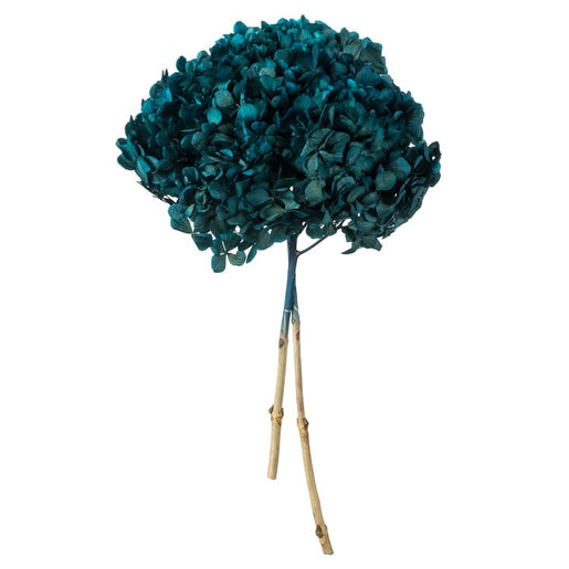 15" Natural Preserved Blue Hydrangea Stem