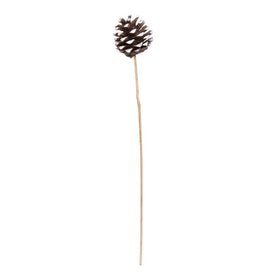 2" Preserved Blue Pine Cones with White Tips on Stems 50-Pack