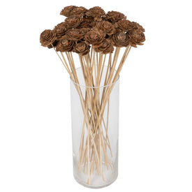 1.3"-1.8" Preserved Cedar Rose Natural Stems 50-Pack