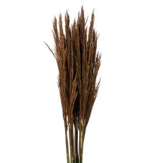 Product Image: H1PLR800 Decor/Faux Florals/Plants & Trees