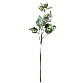 24" Artificial Green Variegated Ivy Sprays 6-Pack