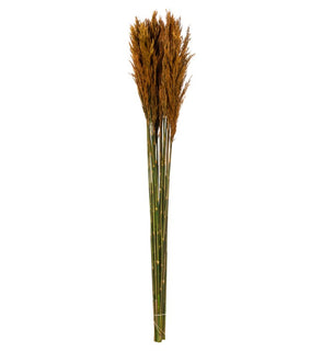 Product Image: H1PLR750 Decor/Faux Florals/Plants & Trees
