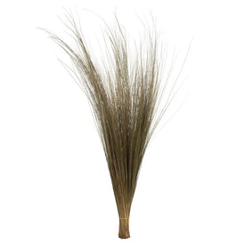 35"- 40" Natural Preserved Bright Grass 8oz Bundle 2-Pack