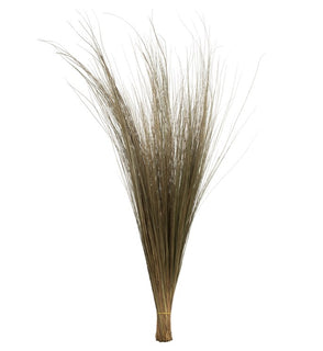 Product Image: H2BRG000-2 Decor/Faux Florals/Plants & Trees