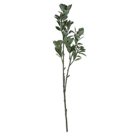 20" Artificial Green/White Aglaia Sprays 6-Pack