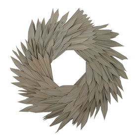 17" Natural Preserved Palm Sun Wreath