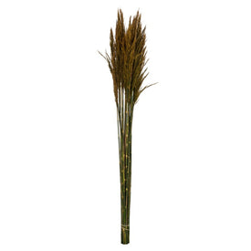 36" Natural Preserved Aspen Gold Plume Reed 7oz Bundle