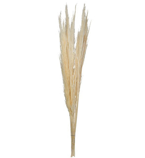Product Image: H2PPS999-6 Decor/Faux Florals/Plants & Trees