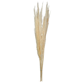 46" Natural Preserved Bleached Pampas Grasses 6-Pack