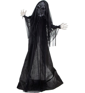 Product Image: HHRPR-22FLSA Holiday/Halloween/Halloween Outdoor Decor