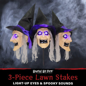 HHWITCH-3STL Holiday/Halloween/Halloween Outdoor Decor