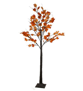 Product Image: 34858405 Holiday/Thanksgiving & Fall/Thanksgiving & Fall Tableware and Decor