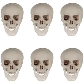 4.75" Skull Halloween Decorations Set of 6